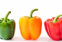 Envía México primer embarque chile morrón a Japón; también se espera exportar otros chiles y mango: CNA / Por Alicia Valverde