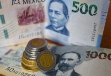 Razones para contratar un crédito PyME para tu negocio