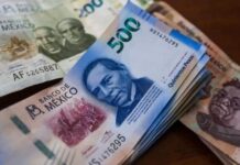 Alertan de posible estancamiento de la economía en el primer trimestre de 2026 / Por Alejandro Durán