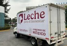 Beneficia Leche para el Bienestar a 7.5 millones de personas / Por Alicia Valverde