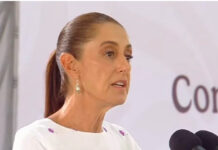 No hay planes de desalojo del plantón de la CNTE en el Zócalo: Sheinbuam / Por Diana Domínguez Galván
