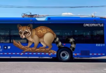 En la CDMX, ponen en operación dos nuevas rutas del trolebús, El Chapulín y de los Animales Silvestres