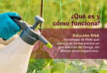 Producirá México el primer biofungicida de RNA en el mundo con una inversión de hasta 100 mdd / Por Alicia Valverde