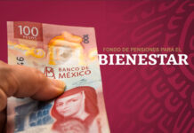 Era inconstitucional el traslado de Afores a las Pensiones para el Bienestar y aún así el gobierno lo hizo / Por Diana Domínguez