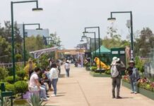 Alcanza Jardín Flotante Tlallipan medio millón de visitantes