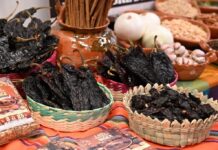 Presentan la 49ª Feria Nacional del Mole: Gastronomía, Tradición y Turismo Social en Milpa Alta, CDMX