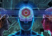 El cerebro humano viene ‘preconfigurado’ con instrucciones para comprender