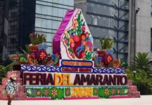 Primera Feria del Amaranto en la CDMX generó aproximadamente un millón de pesos en ventas directas