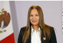 LEGO seleccionó a México para invertir 400mdd / Por Diana Domínguez Galván