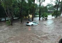 Empresas neerlandesas ofrecen a México soluciones contra inundaciones y captación pluvial