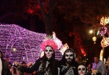 ECOBICI se suma al Paseo Nocturno de Día de Muertos con 60 minutos de viaje y actividades especiales