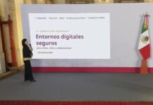 Este es el contenido del Decreto contra la violencia en plataformas digitales / Por Diana Domínguez Galván