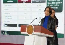 Detecta gobierno evasión millonaria por “huachicol”/ Por Diana Domínguez Galván